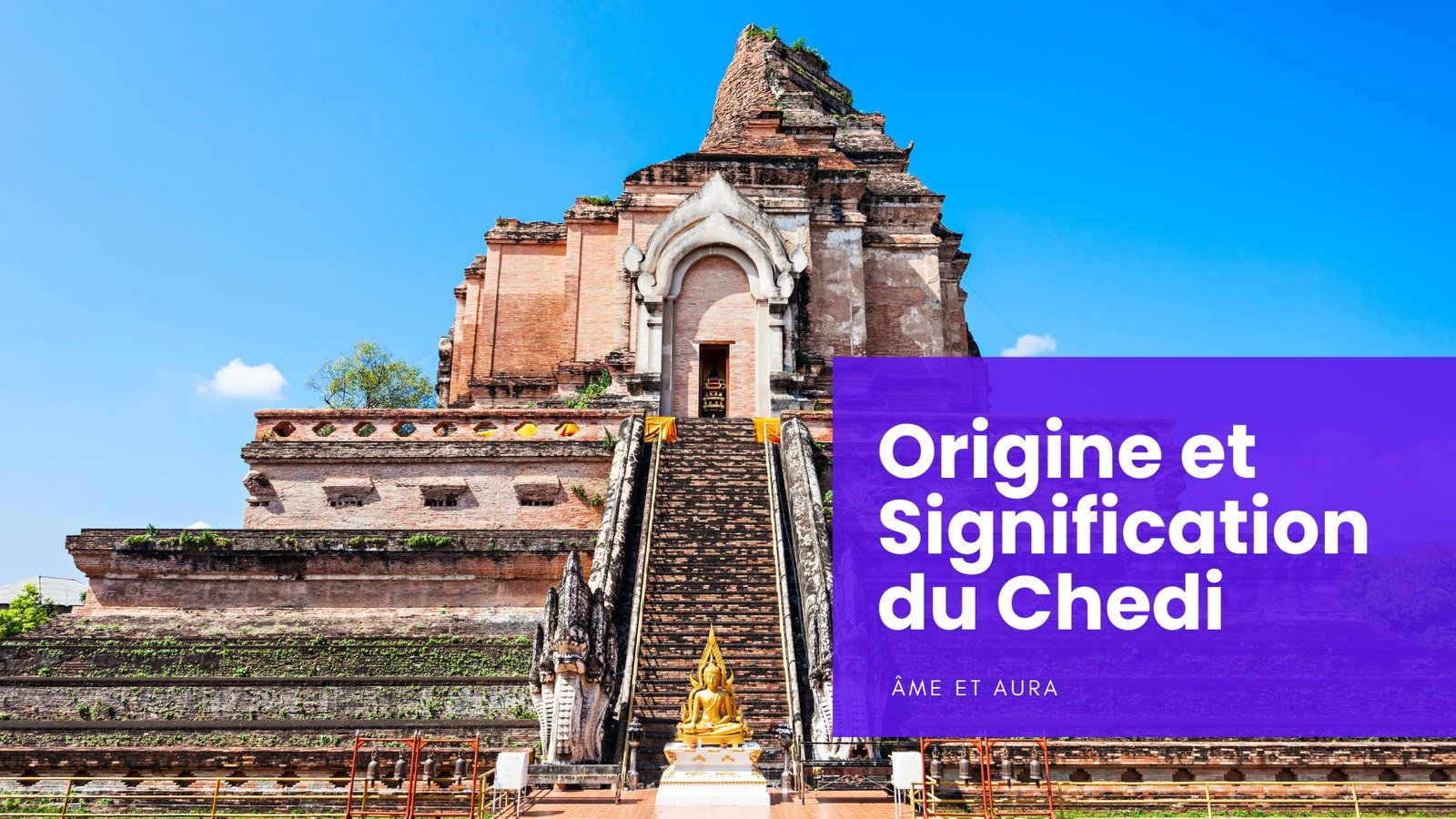 Qu'est-ce qu'un chedi ?