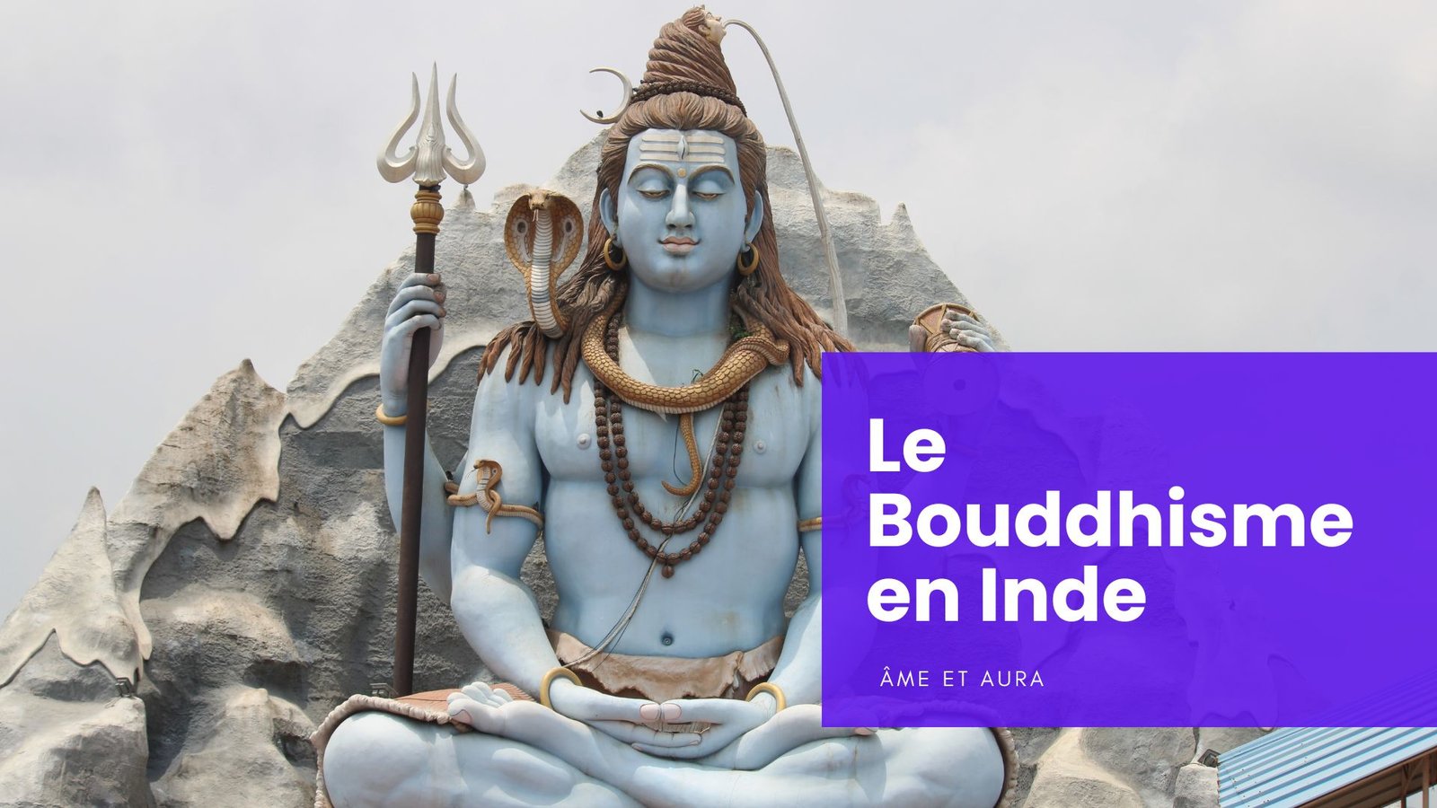 La Richesse Spirituelle du Bouddhisme en Inde