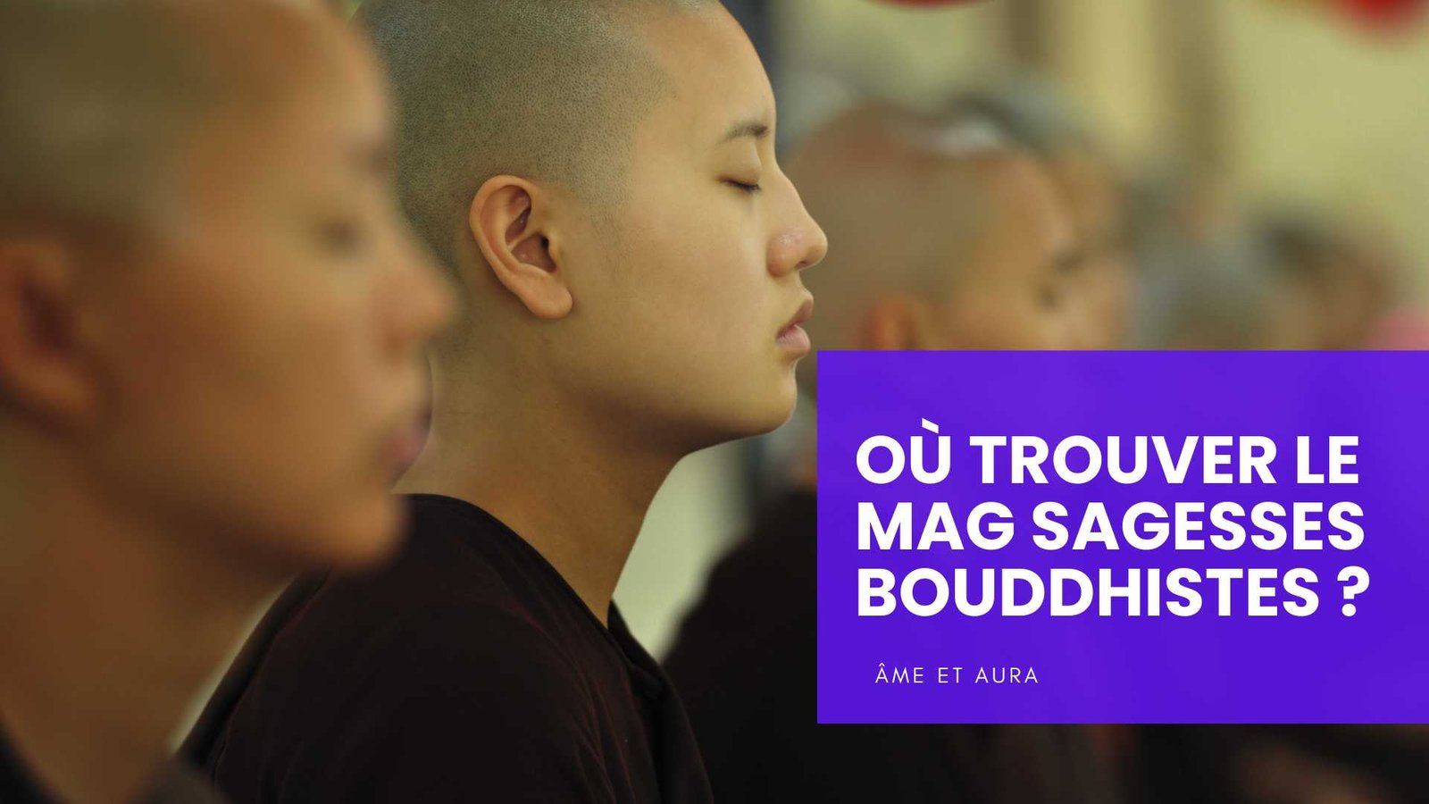 Où trouver le mag Sagesses Bouddhistes ?