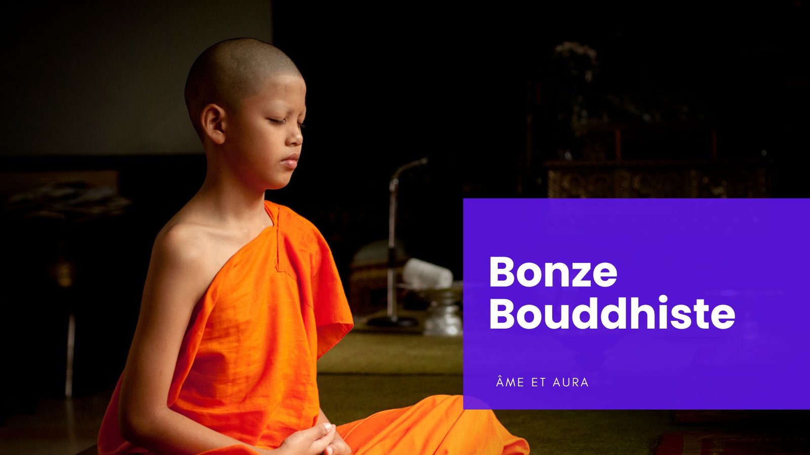 C'est quoi un bonze bouddhiste ?