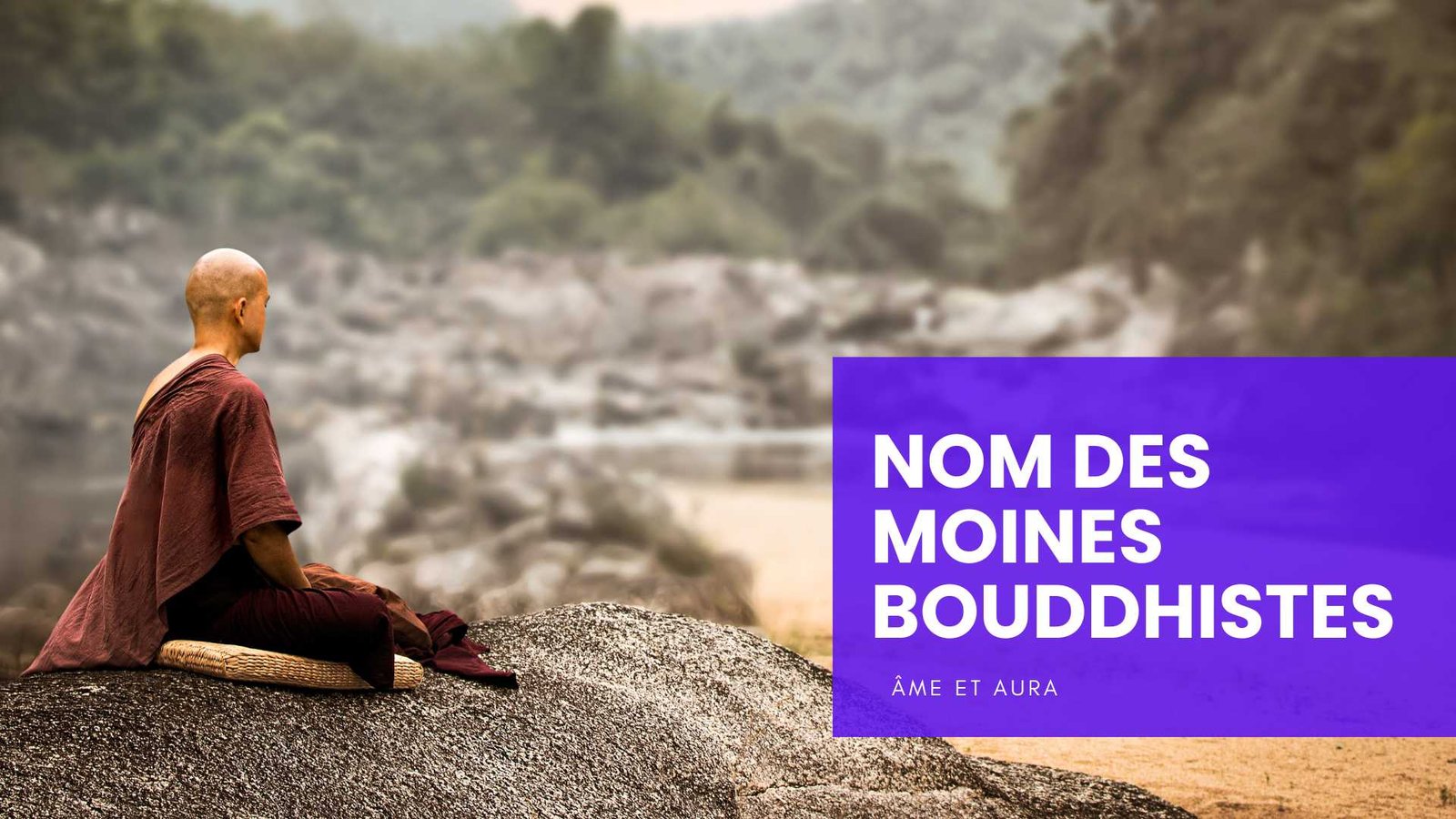 Quel est le nom des moines bouddhistes ?