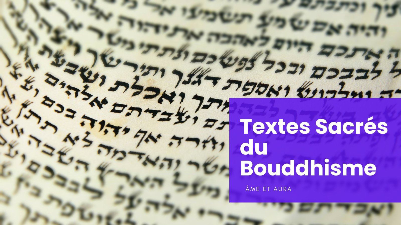 Quels sont les textes sacrés du bouddhisme ?