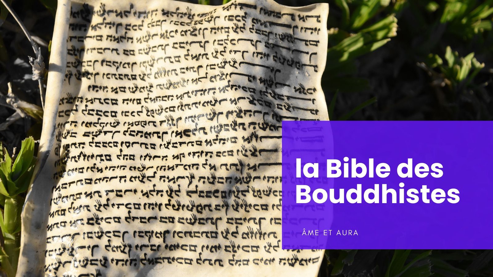 Comment s'appelle la Bible des bouddhistes ?